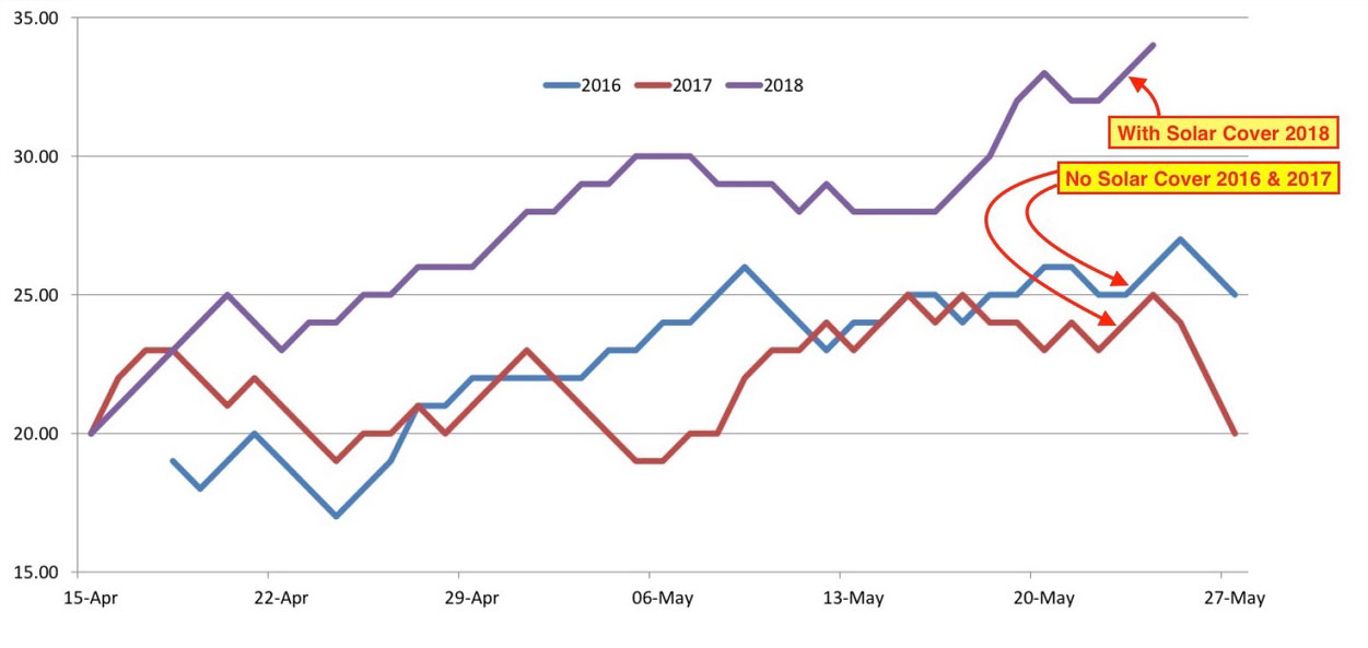 Monagri pool temperatures